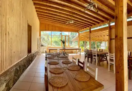 Olympos Angels Garden - 14