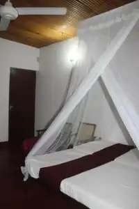 The Best Hostel - 12
