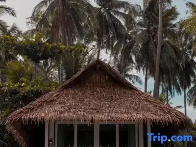 Pawapi Beach Resort - 91