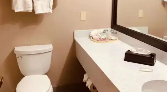 Comfort Suites Plano East - Richardson - 56