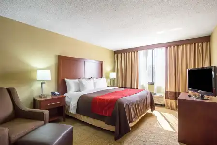 Comfort Inn Cleveland Downtown - 4