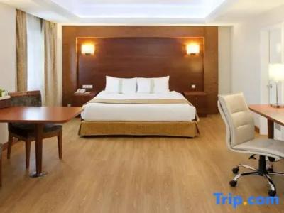 Holiday Inn Istanbul City - 96