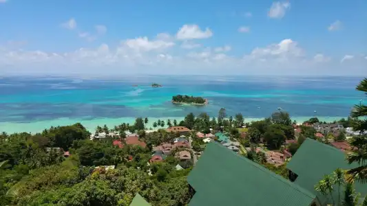 Mango Lodge - 60