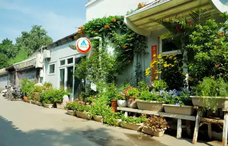 Peking International Youth Hostel - 28