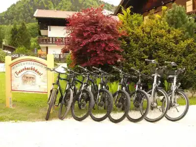 Garni Landhaus Traunbachhäusl - 10