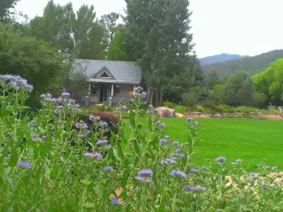 Apple Orchard Inn - 5