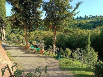 Rocca degli Olivi - 58