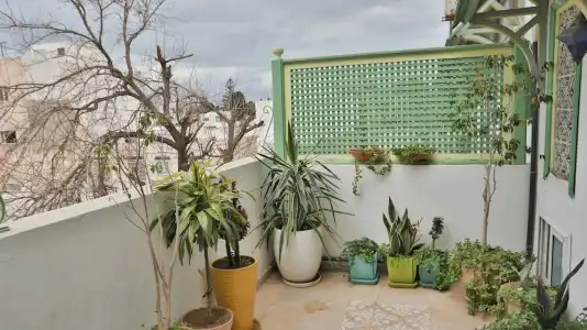 Dar Souad - 103