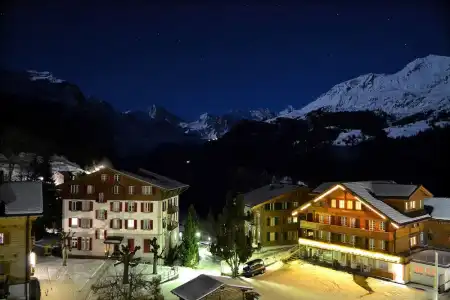 Alpenkräuter Bären - 48