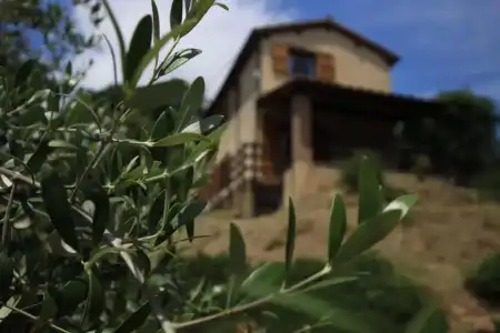 Boschi di Montecalvi - Guest House - 21