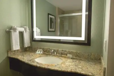 Hilton Garden Inn Washington DC/U.S. Capitol - 69