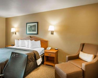 Quality Inn Airport - 3