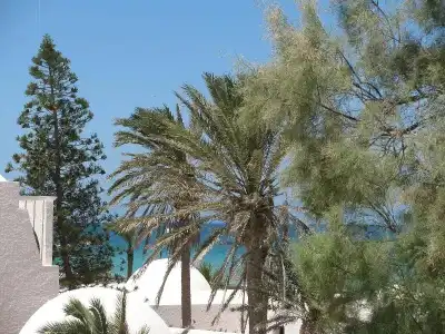 Dar Salem - 42