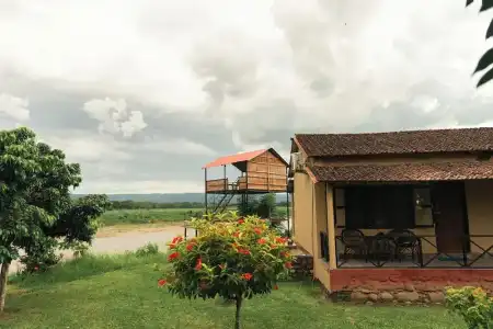 Wildlife Adventure Resort - 31