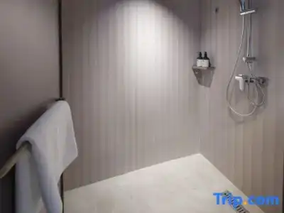 Hanting Ho Chi Minh City Downtown (汉庭国际胡志明市中心酒店) - 210