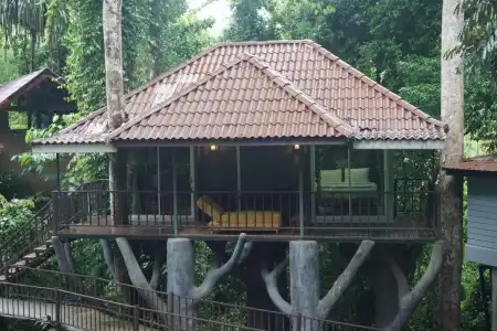 Rock And Treehouse Resort - 29