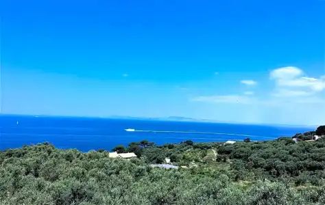 Dania - 69