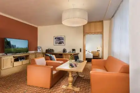 Best Western Ahorn Oberwiesenthal - Adults Only - 43