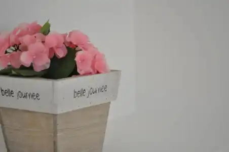 Mimì B&B - 46