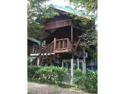 Rasta House - 17