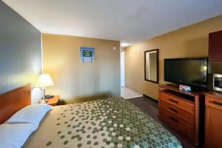 Econo Lodge Motel Village - 52