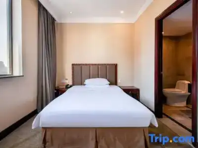 Wuhan Hongguang - 47