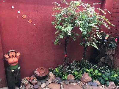Chiang Mai Thai House - 52