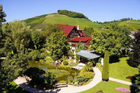 Rebstock Durbach - 10