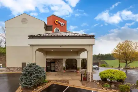 Comfort Inn North of Asheville - 16