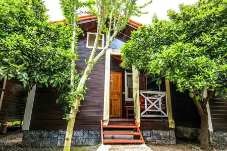 Sunrise Bungalows - 21