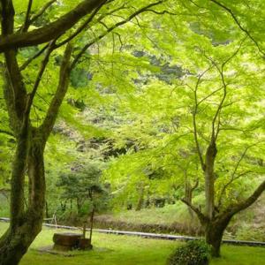 Yugawara Onsen Kamata - 19