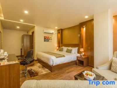 Yatri Suites and Spa - 73