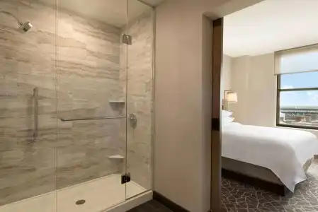 Embassy Suites by Hilton Minneapolis Downtown - 4