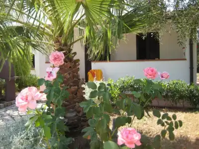 Residence Villantica - 293