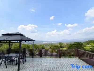 Tranquil Shores Holiday Apartments - 373