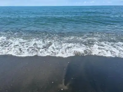 Kaprovani - 12