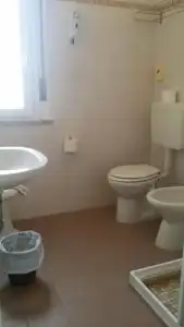 La Falena - 8