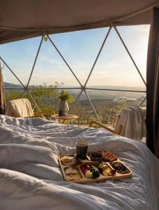EcoHouse Glamping by ART - 93