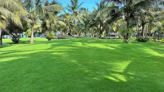 Sonata Resort & Spa - 57