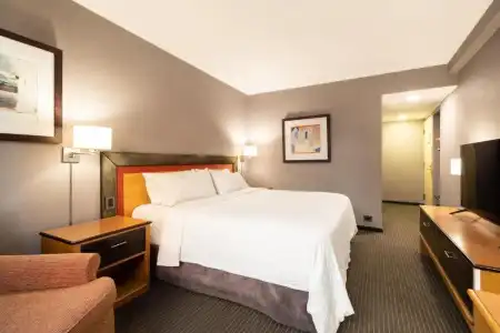 Holiday Inn Express Puerto Madero by IHG - 60