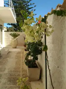 Room in B&B - Suitebeach bnb and Resort - 40