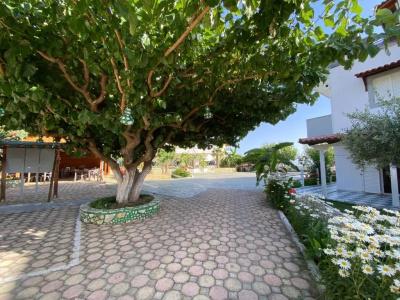 Yard Paradise - 9