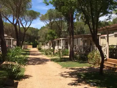 Camping I Melograni - 11