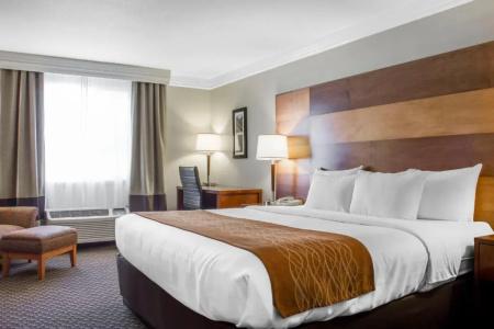Comfort Inn & Suites Durango - 42