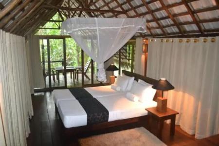 Clio Ella Resort - 60