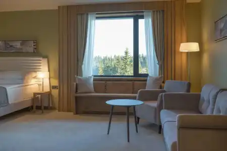 Gorski & Spa - 60