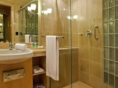 Pullman Sao Paulo Ibirapuera - 73
