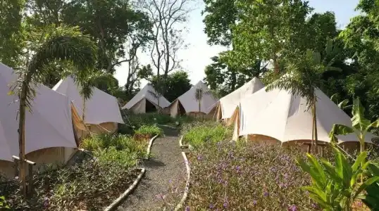 Roost Glamping - 47