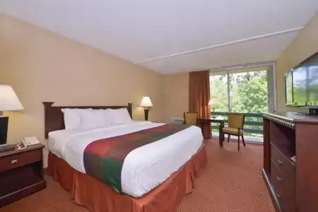 Best Western Branson Inn And Conference Center - 35