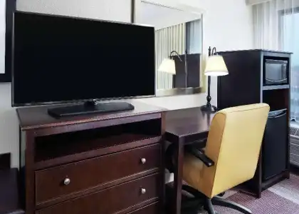 Hampton Inn Dallas-Irving-Las Colinas - 64